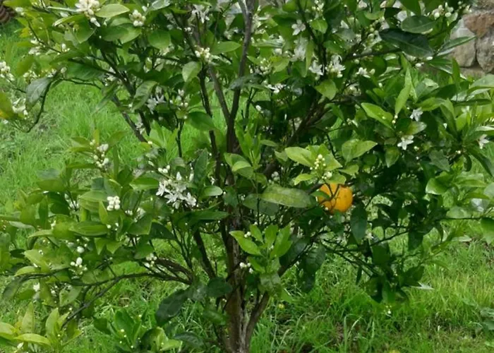 Holiday home La Casuca Del Norte Hornedo